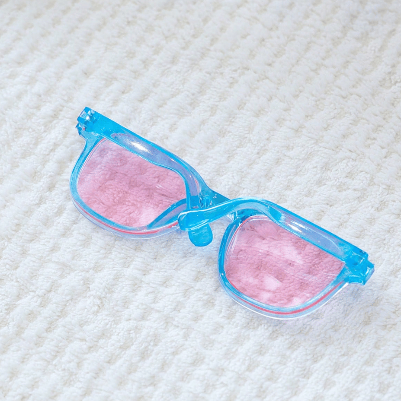 Pet Eyeglasses Decor – Blue Square-Round Frame for Dogs