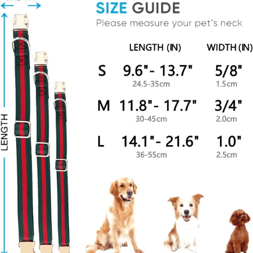 Dog Collar - Soft Cotton-Nylon Webbing with Metal Buckle