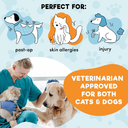 Inflatable Dog Cone Collar Alternative for Dogs & Cats - Heart Shape