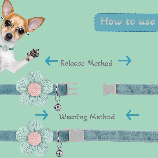 Small Dog Collar with Flower