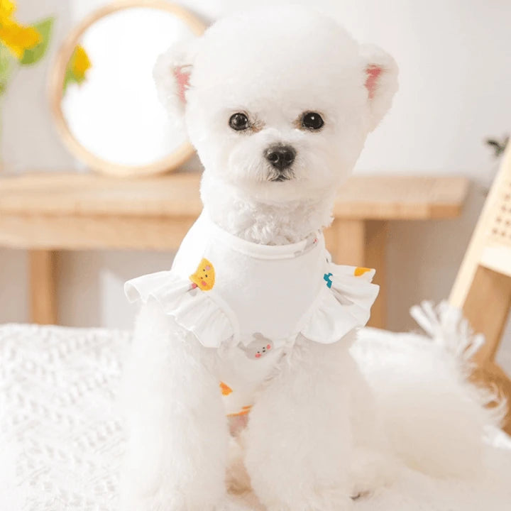Cute Chic T-Shirt Designs Your Beloved Companion Style Enchanting Spring Pet's Clothing