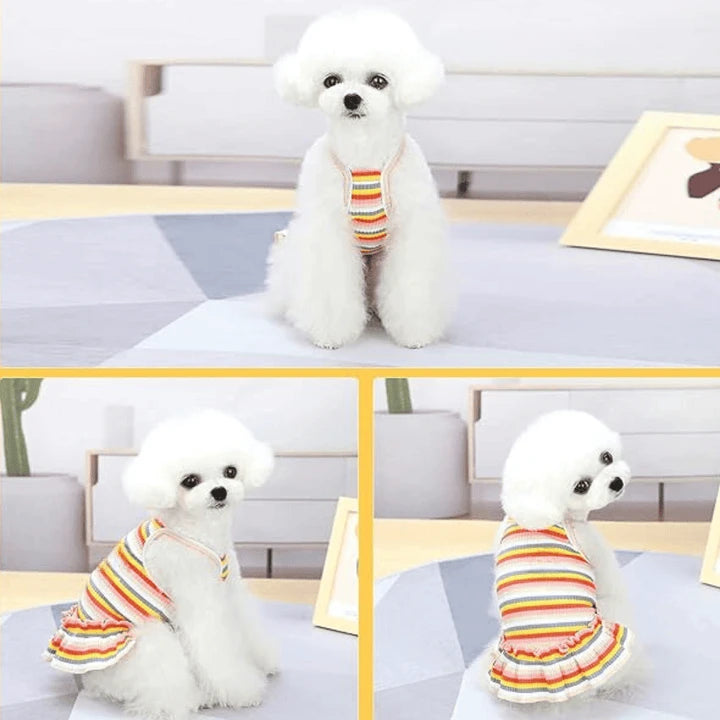 Radiant Royalty Adorable Rainbow Striped Princess Dress Apparel Summer Pet's Clothing