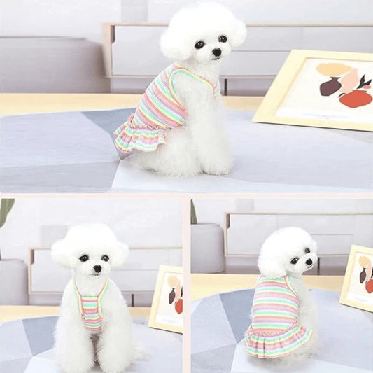Radiant Royalty Adorable Rainbow Striped Princess Dress Apparel Summer Pet's Clothing