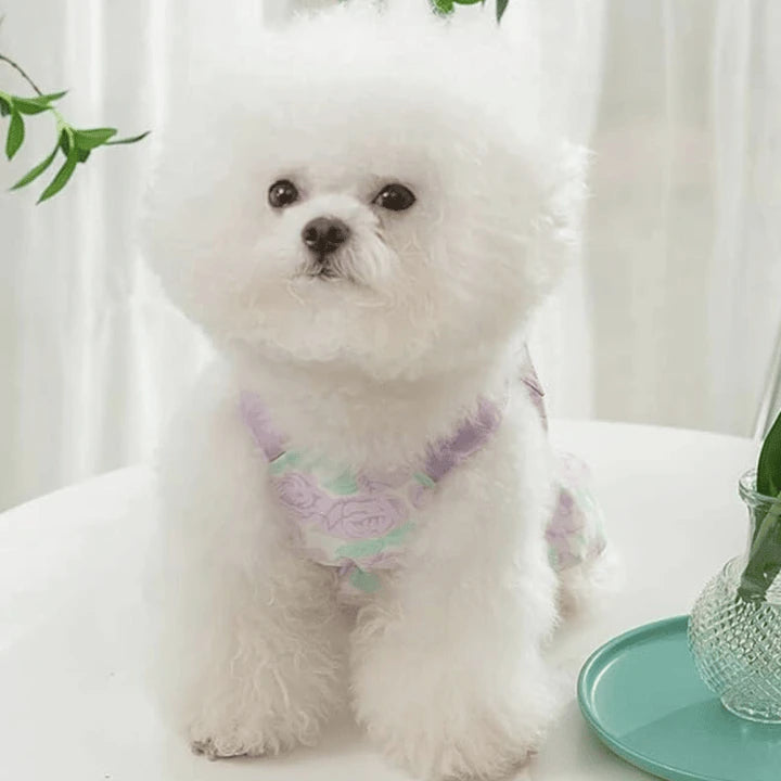 Elevate Your Furry Friend Chic Canine Couture Jumpsuits Fashionable Summer Pet's Clothing