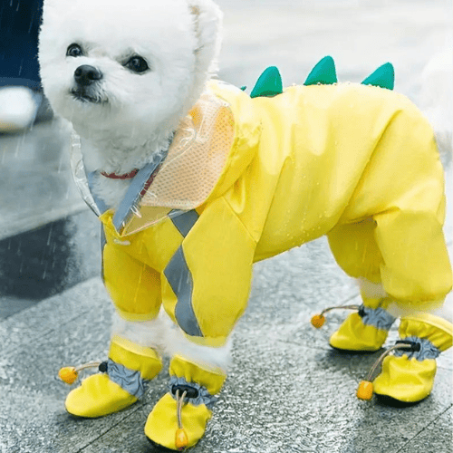 Roar Through Rainy Days Waterproof Dinosaur Raincoat Furry Rainy Season Pet's Clothing