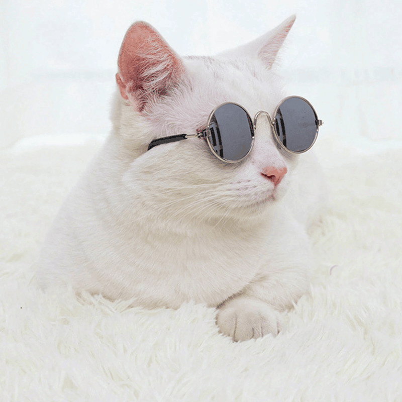 Pet Sunglasses for Small Dogs & Cats – Vintage Round Reflective Eyewear