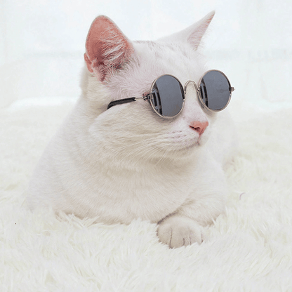 Pet Sunglasses for Small Dogs & Cats – Vintage Round Reflective Eyewear