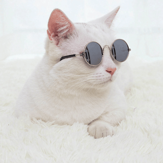Pet Sunglasses for Small Dogs & Cats – Vintage Round Reflective Eyewear