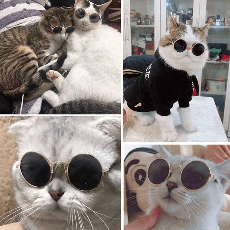 Pet Sunglasses for Small Dogs & Cats – Vintage Round Reflective Eyewear