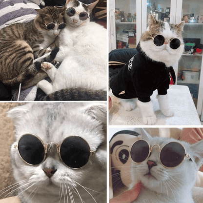 Pet Sunglasses for Small Dogs & Cats – Vintage Round Reflective Eyewear