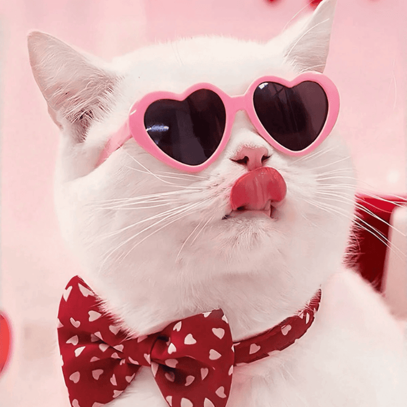 Pet Heart-Shaped Glasses – Multicolor Photo Prop Eyewear for Dogs & Cats