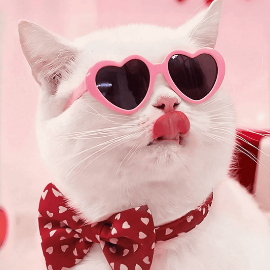 Pet Heart-Shaped Glasses – Multicolor Photo Prop Eyewear for Dogs & Cats