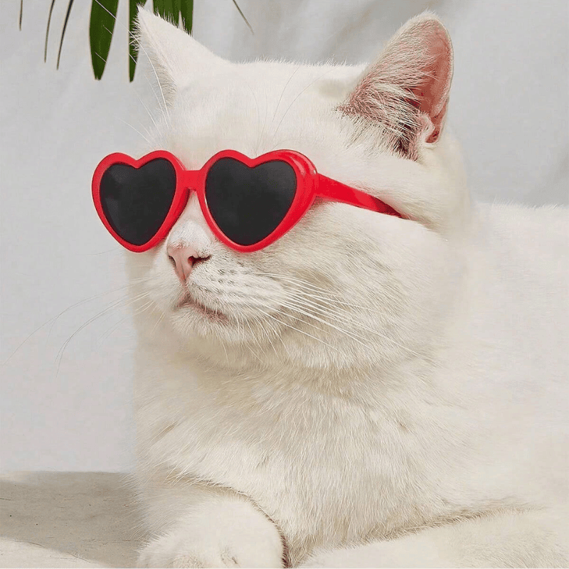 Pet Heart-Shaped Glasses – Multicolor Photo Prop Eyewear for Dogs & Cats