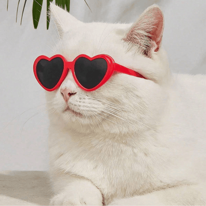 Pet Heart-Shaped Glasses – Multicolor Photo Prop Eyewear for Dogs & Cats
