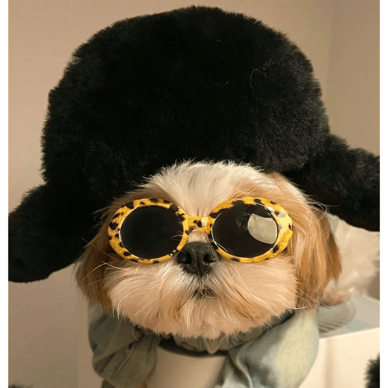 Pet Sunglasses – Multicolor ABS Eyewear for Cats