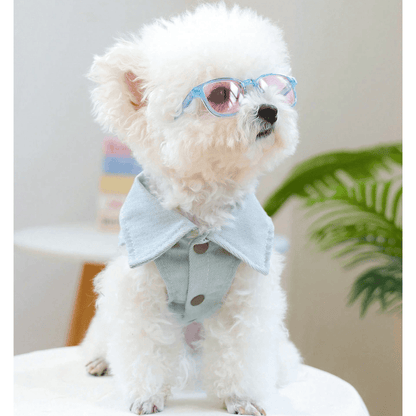 Pet Eyeglasses Decor – Blue Square-Round Frame for Dogs