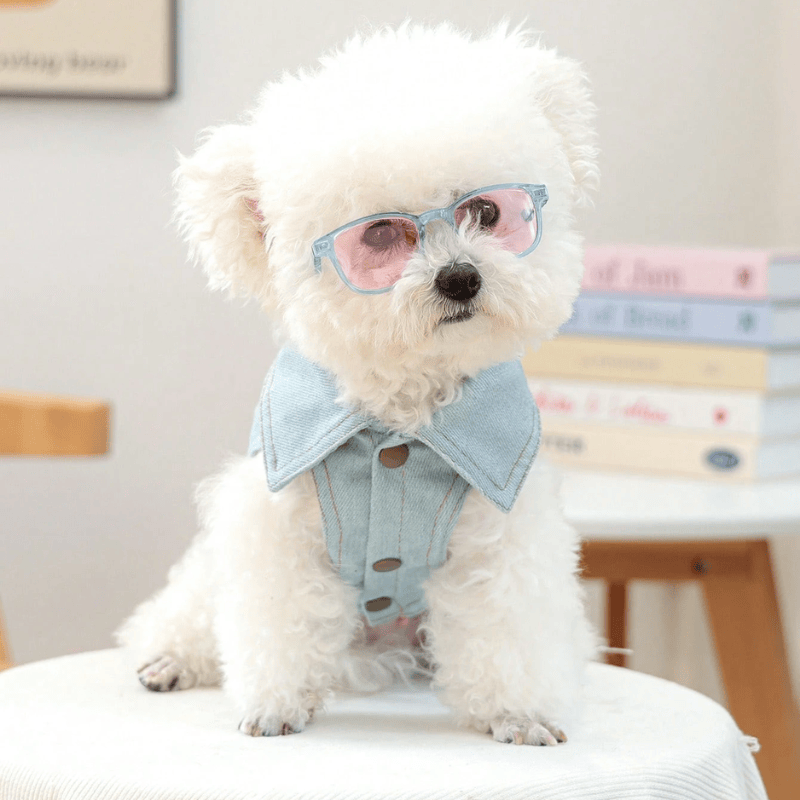 Pet Eyeglasses Decor – Blue Square-Round Frame for Dogs