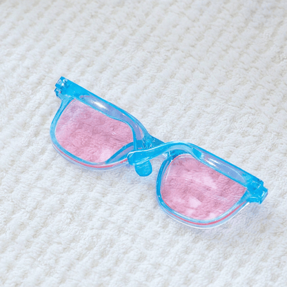 Pet Eyeglasses Decor – Blue Square-Round Frame for Dogs