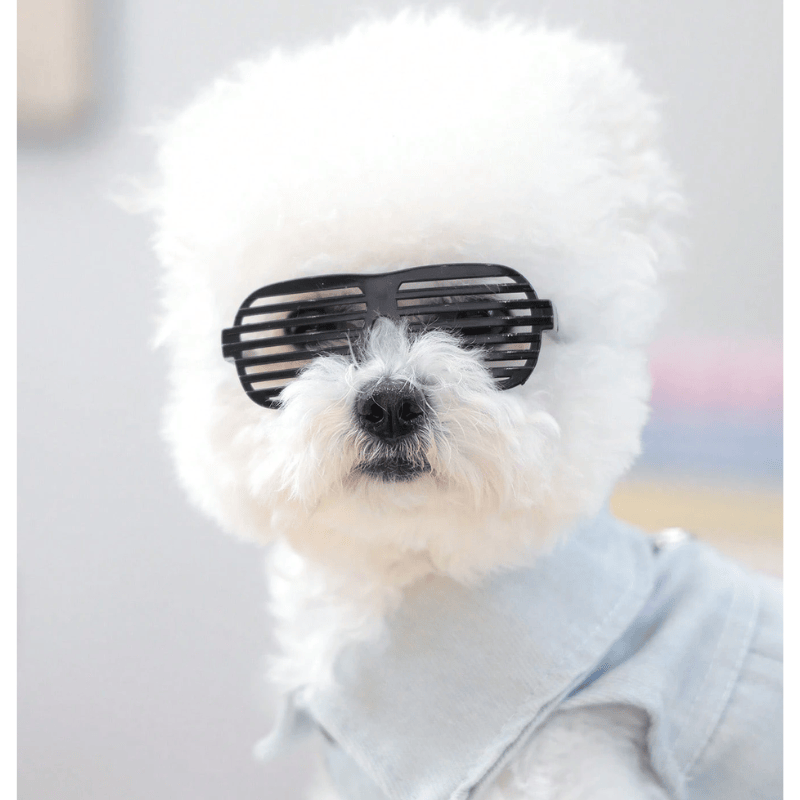 Pet Square Hollow Gradient Sunglasses – Black Eyewear for Dogs