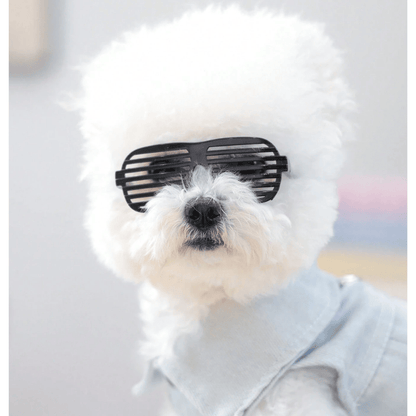 Pet Square Hollow Gradient Sunglasses – Black Eyewear for Dogs