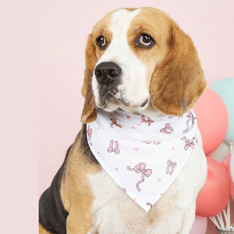 Pet Triangular Bib/Bandana – Scarf with Bow Design for Dogs & Cats, White/ Pink