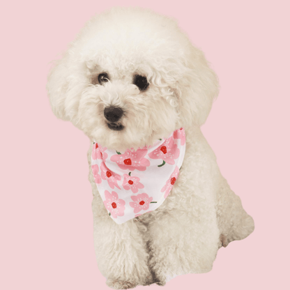 Pet Triangular Bib/Bandana – Scarf with Flowers Design for Dogs & Cats, Flowers
