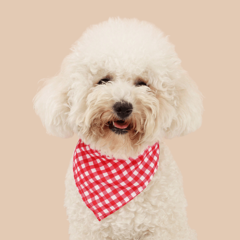 Pet Triangular Bib/Bandana – Scarf with Caro Design for Dogs & Cats, Red