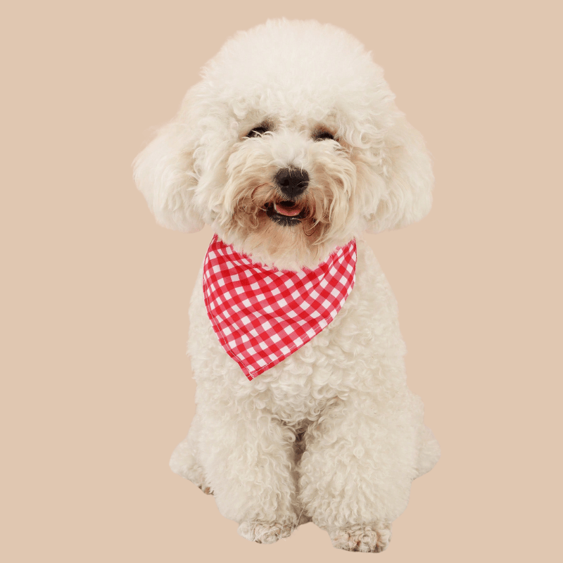 Pet Triangular Bib/Bandana – Scarf with Caro Design for Dogs & Cats, Red