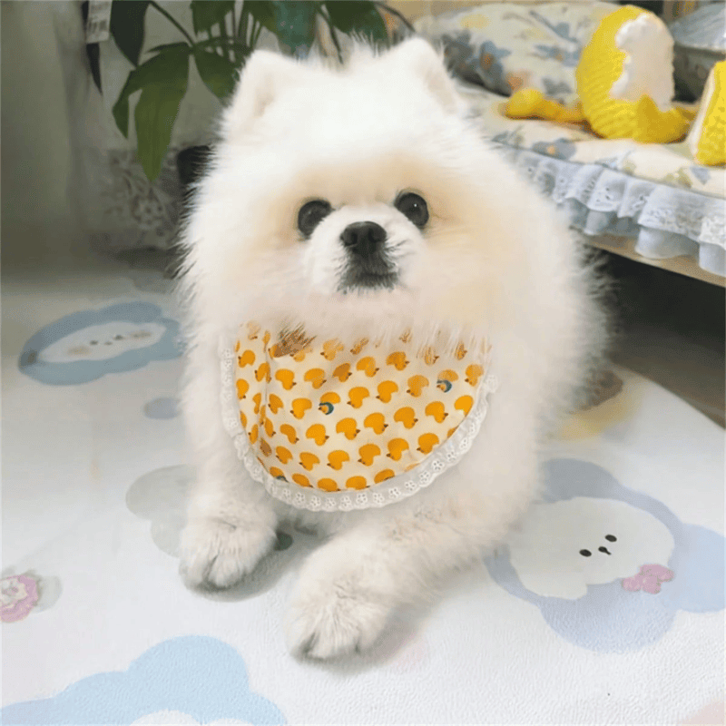 Pet Bandana Bib Scarf – Animal & Fruit Print for Dogs and Cats