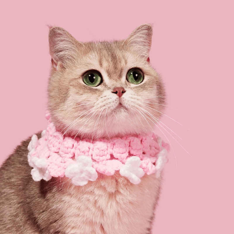 Pink Floral Knit Pet Collar – Soft Knitted Bandana for Cats