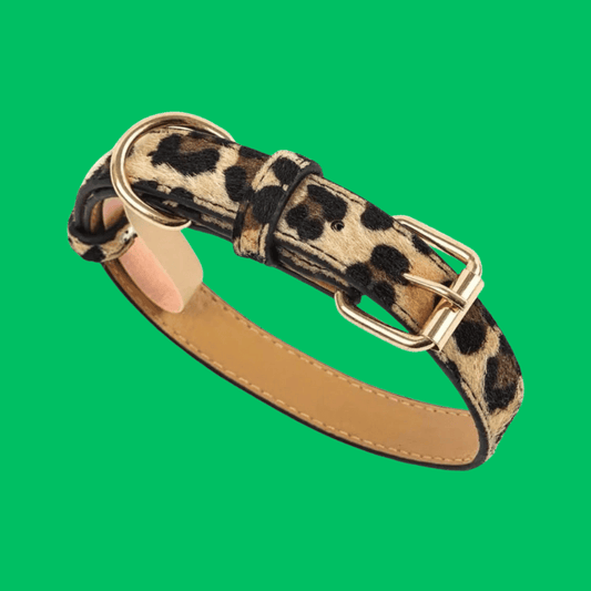 Adjustable Leopard Print Pet Collar