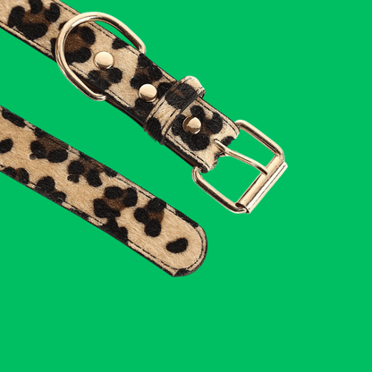 Adjustable Leopard Print Pet Collar