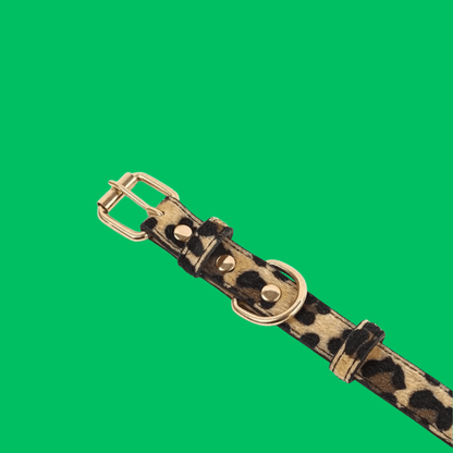 Adjustable Leopard Print Pet Collar