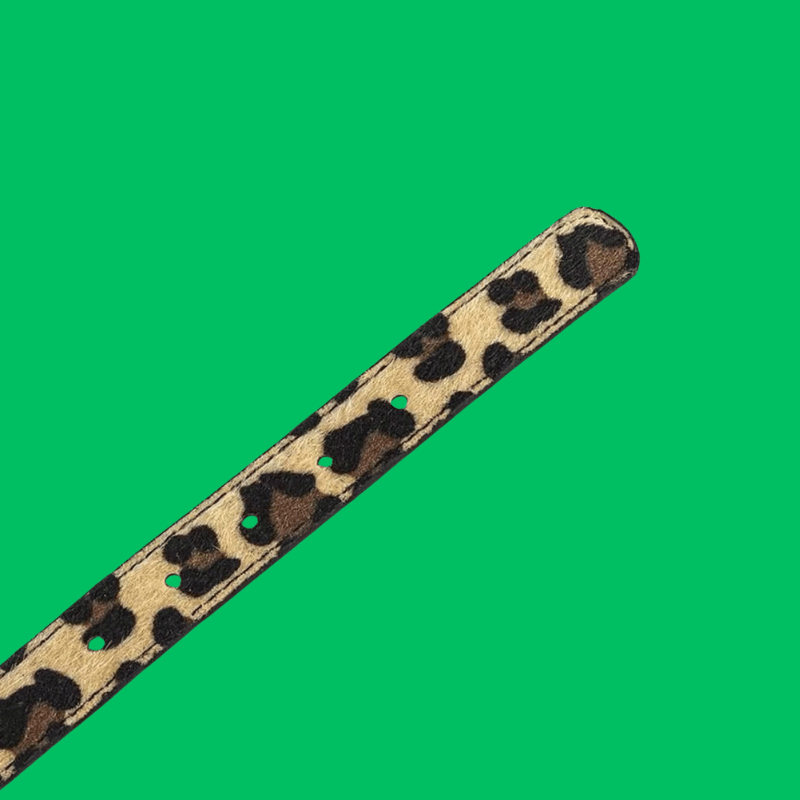 Adjustable Leopard Print Pet Collar
