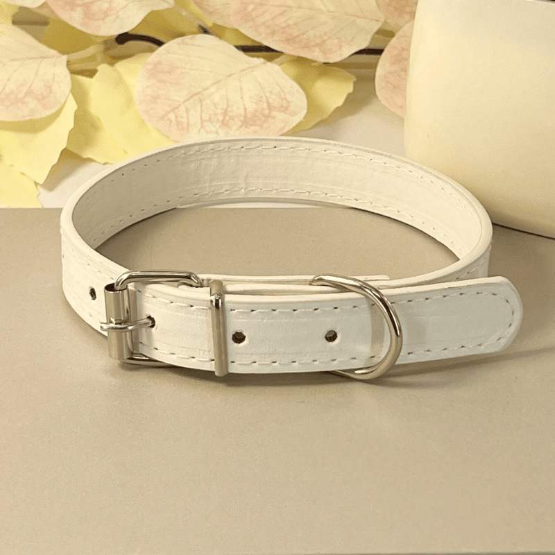 Punk Style PU Leather Dog Collar – Adjustable Multi-Color Pet Collar