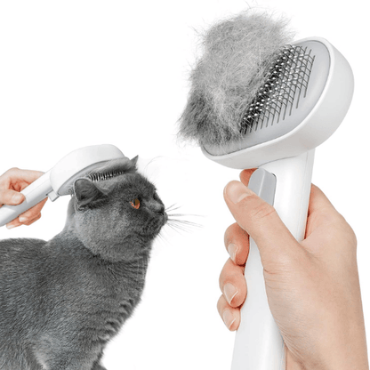 Self-Cleaning Cat Brush for Shedding - One-Click Grooming Tool with Massage Tips for Indoor Cats & Kittens