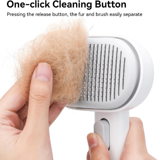 Self-Cleaning Cat Brush for Shedding - One-Click Grooming Tool with Massage Tips for Indoor Cats & Kittens