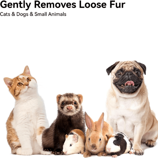 Self-Cleaning Cat Brush for Shedding - One-Click Grooming Tool with Massage Tips for Indoor Cats & Kittens