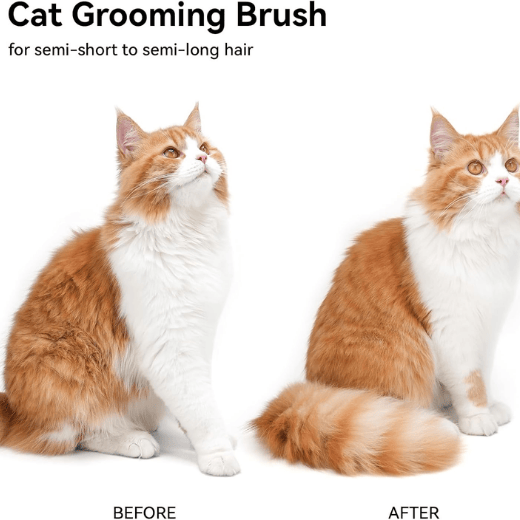 Self-Cleaning Cat Brush for Shedding - One-Click Grooming Tool with Massage Tips for Indoor Cats & Kittens