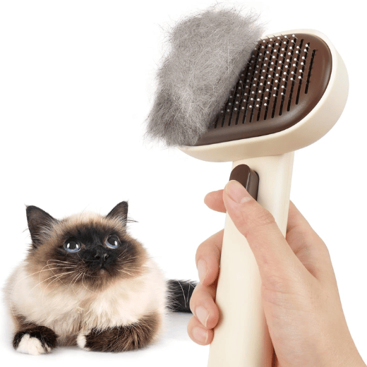 Self-Cleaning Cat Brush for Shedding - One-Click Grooming Tool with Massage Tips for Indoor Cats & Kittens