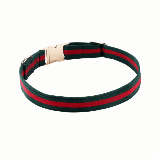 Premium Luxury Dog Collar - Soft Cotton-Nylon Webbing with Metal Buckle