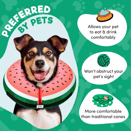 Inflatable Dog Cone Collar Alternative for Dogs & Cats - Watermelon