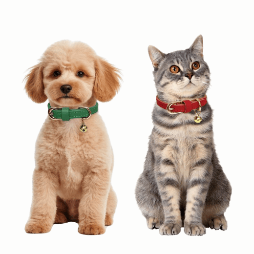 Soft Genuine Leather Dog Collar