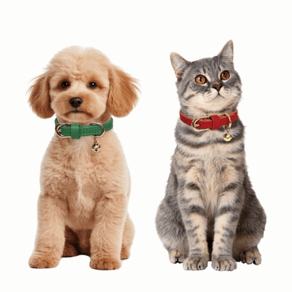 Soft Genuine Leather Dog Collar