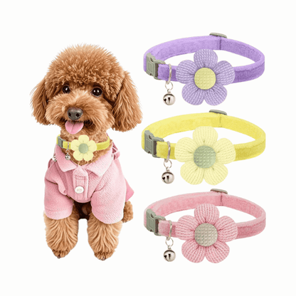 Small Dog Collar with Flower