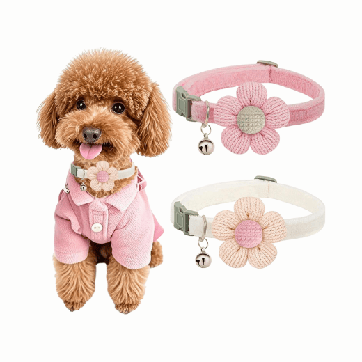 Small Dog Collar with Flower