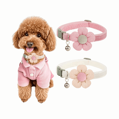 Small Dog Collar with Flower